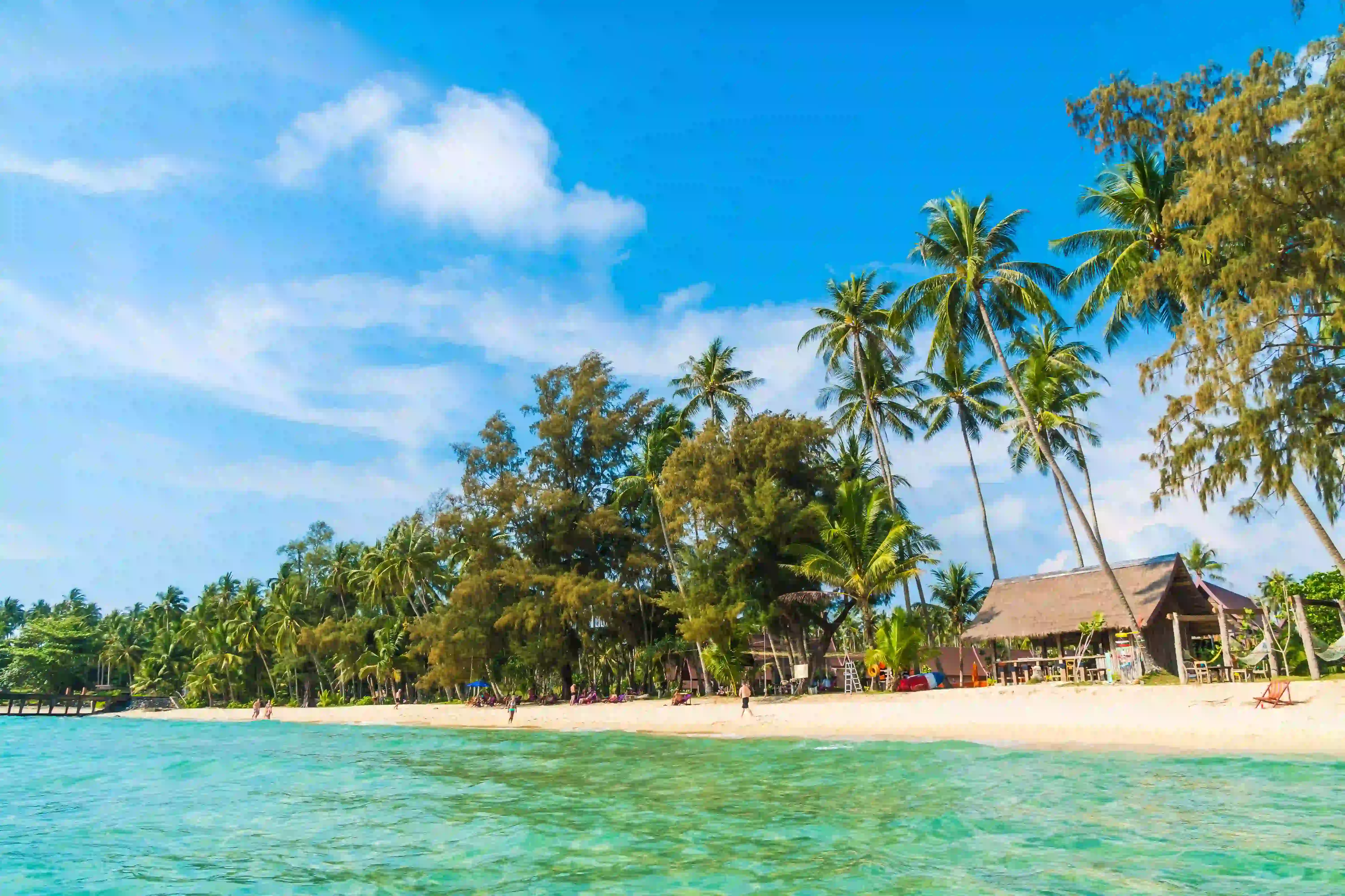 Kerala Backwaters & Ayurveda